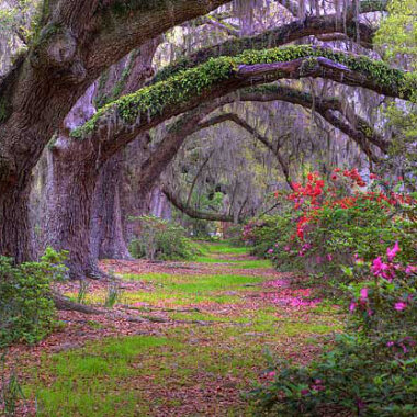 Flowery Garden Park in Daphne, Alabama