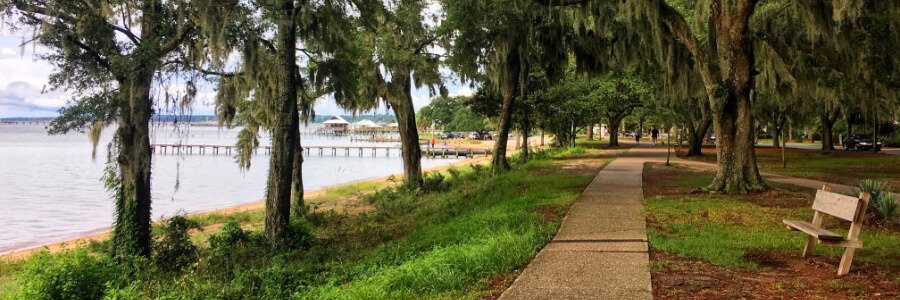 Willow trees and a path along the coast.