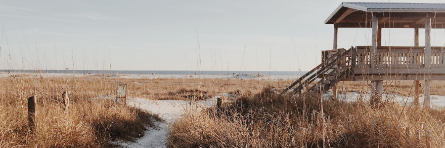 Grassy Beach On Dauphin Island